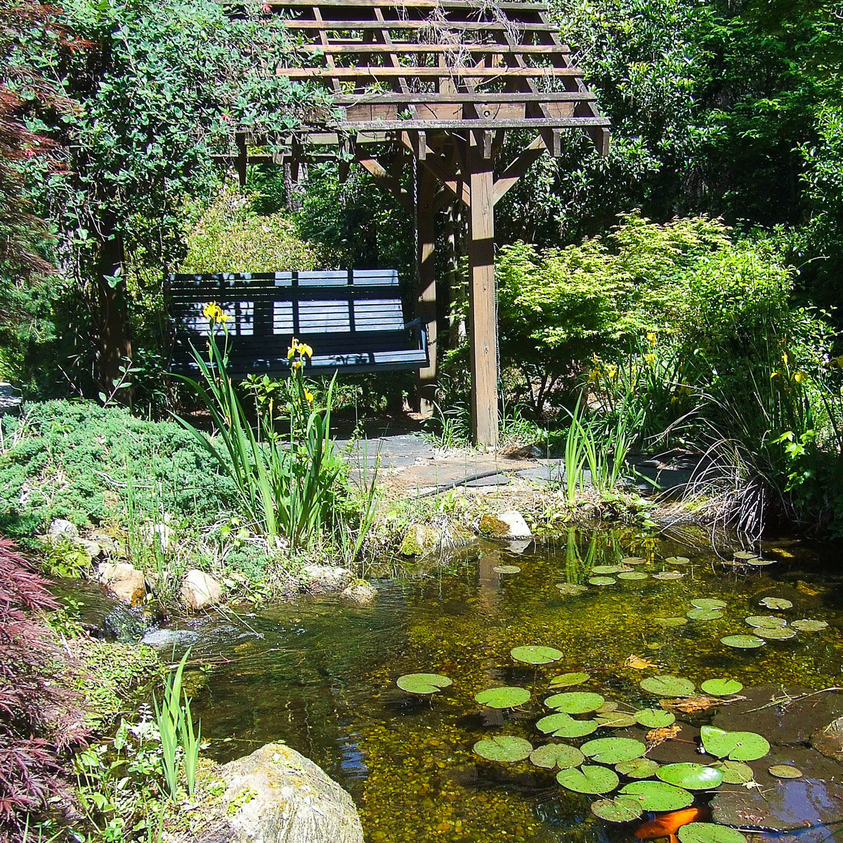 The complete guide best time to visit weather & climate. The Piedmont Gardeners