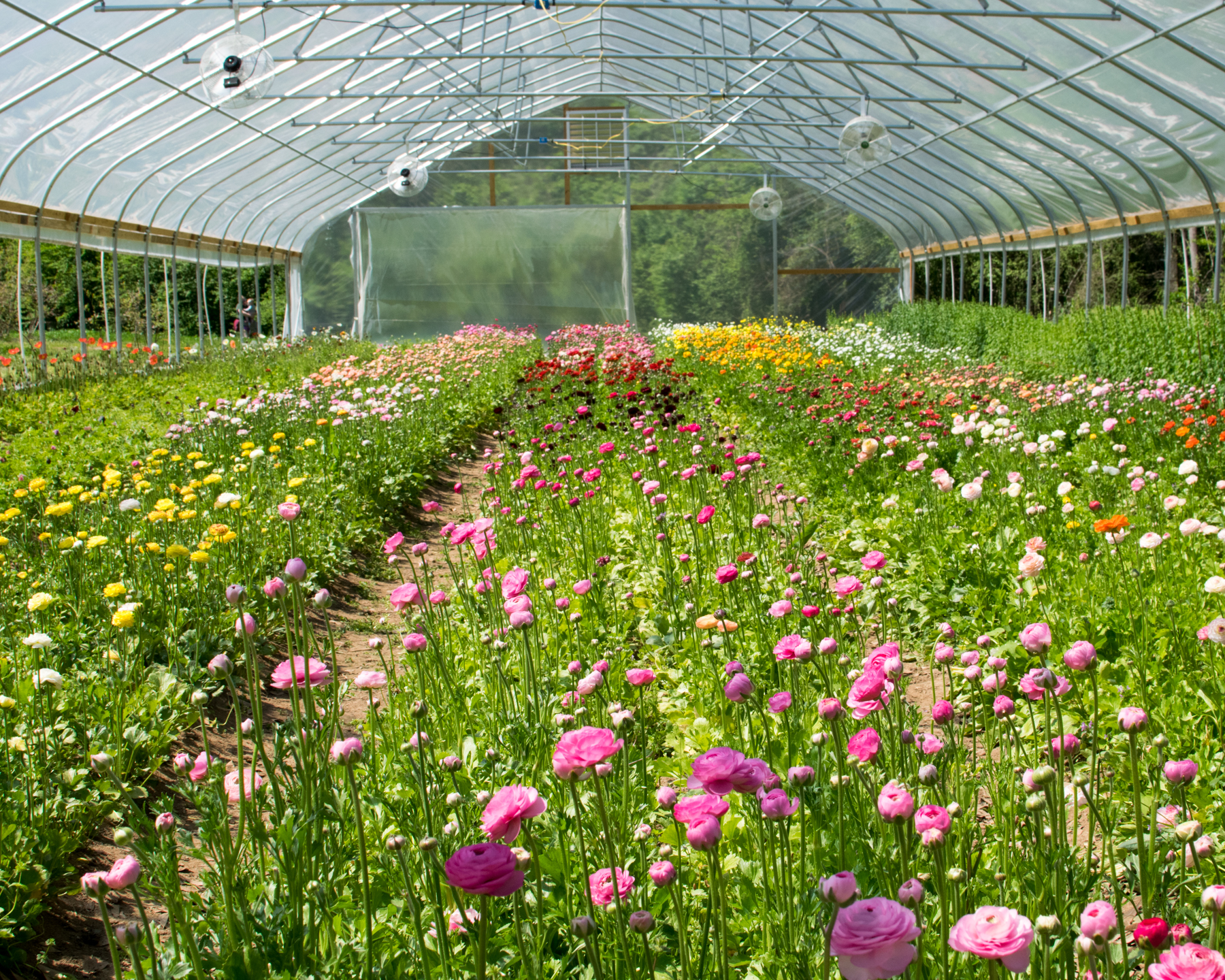 300 n thomas st, athens, ga 30601. Visiting 3 Porch Farm In Athens Georgia Wearable Planter