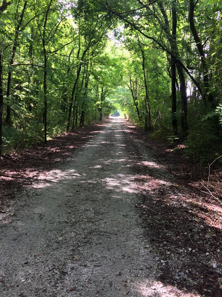 Learn more about als from webmd many things about amyotrophic. Elkmont Alabama Rails To Trail