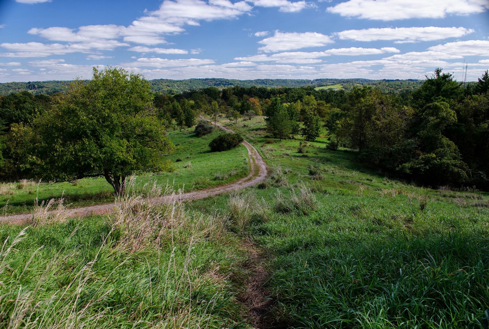 The seminar center's eli and elsie marcus don't just talk the talk. On The Subject Of Nature Radar Hill And The Ridges