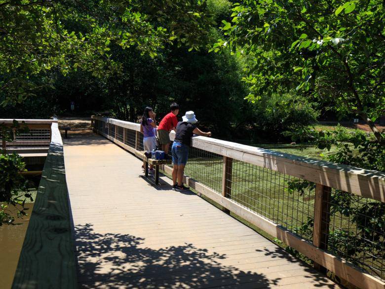 Amazing Walking Trails Athens&nbsp;Ga