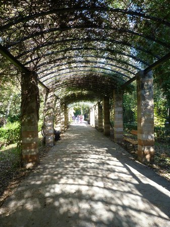 Exploring Athens Walking Tours Tripadvisor