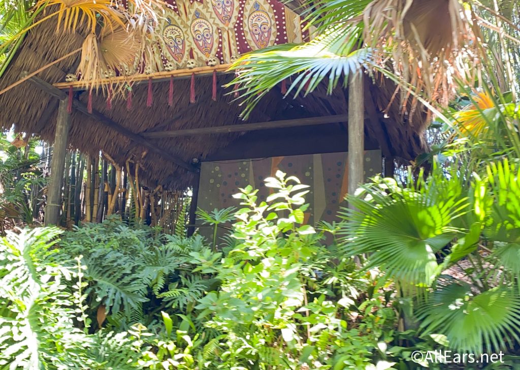 Amazing Jungle Cruise Athens&nbsp;Ga